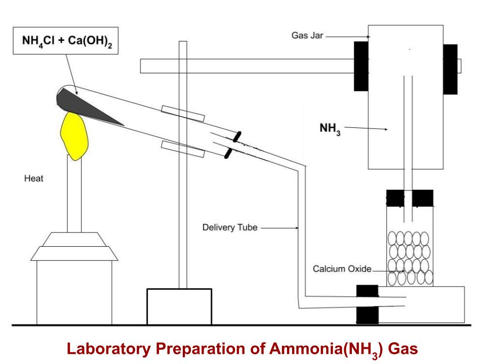 Laboratory preparation of ammonia gas