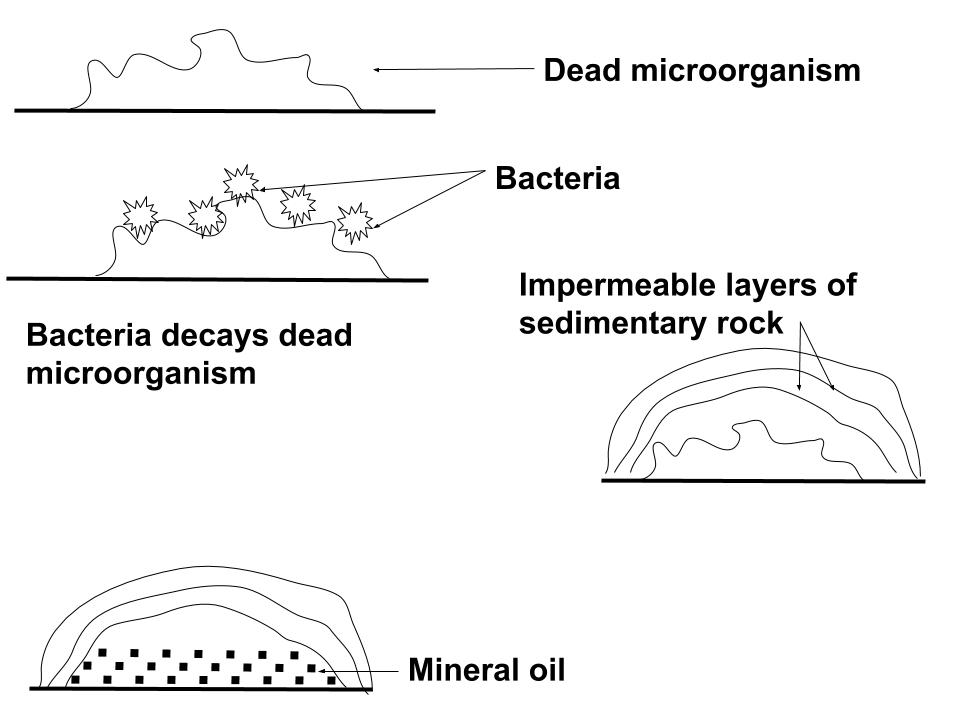 Formation of mineral oil